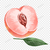 龙物视频下载APP应用