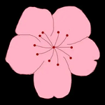 9.1免费APP应用